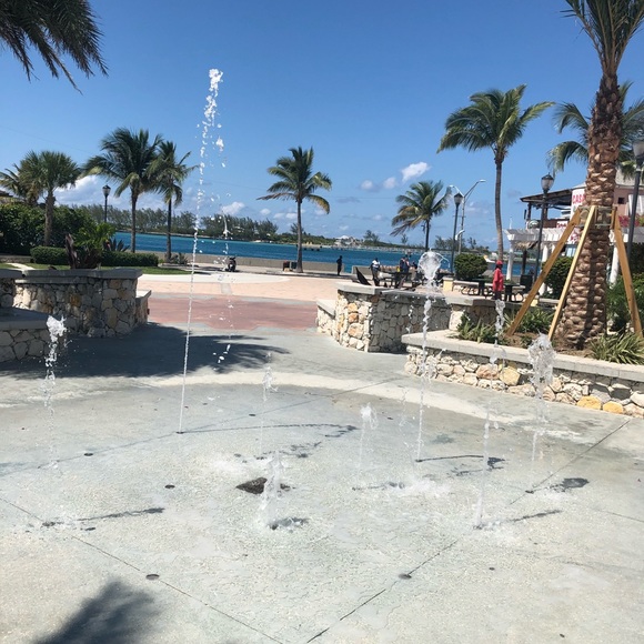 Meet your Posher, Rose - Picture 2 of 2